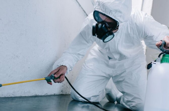 Dedetização em Contagem