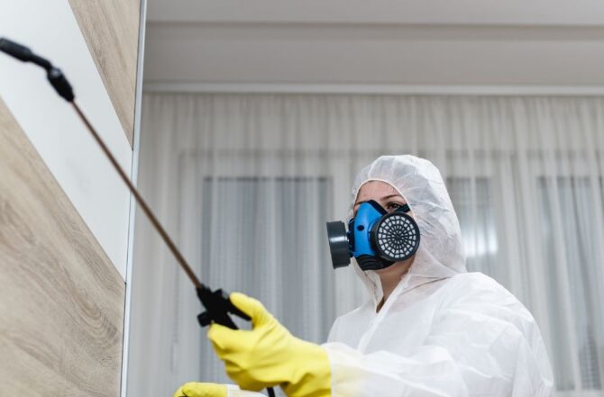 Dedetizadora no Bernardo Monteiro