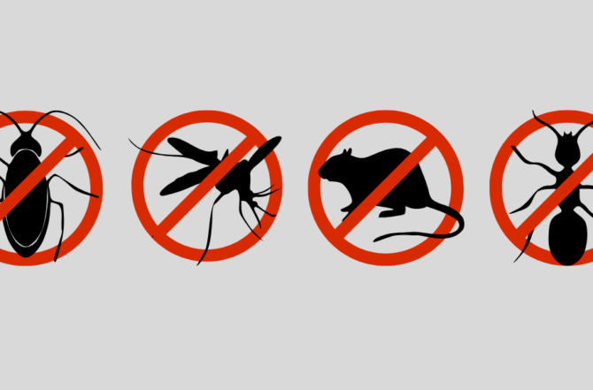 Dedetizadora no Cabral